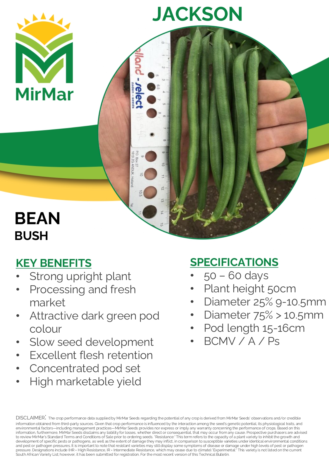 Bean - Bush - Jackson_page-0001