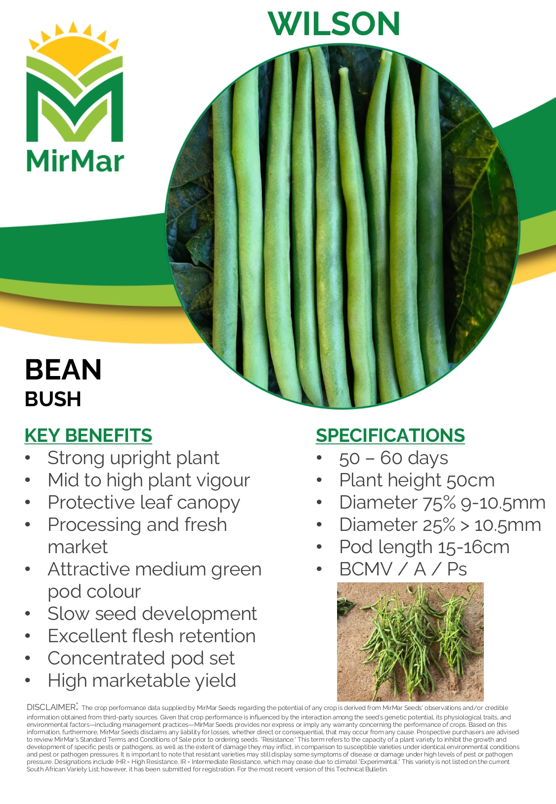Bean - Bush - Wilson_page-0001