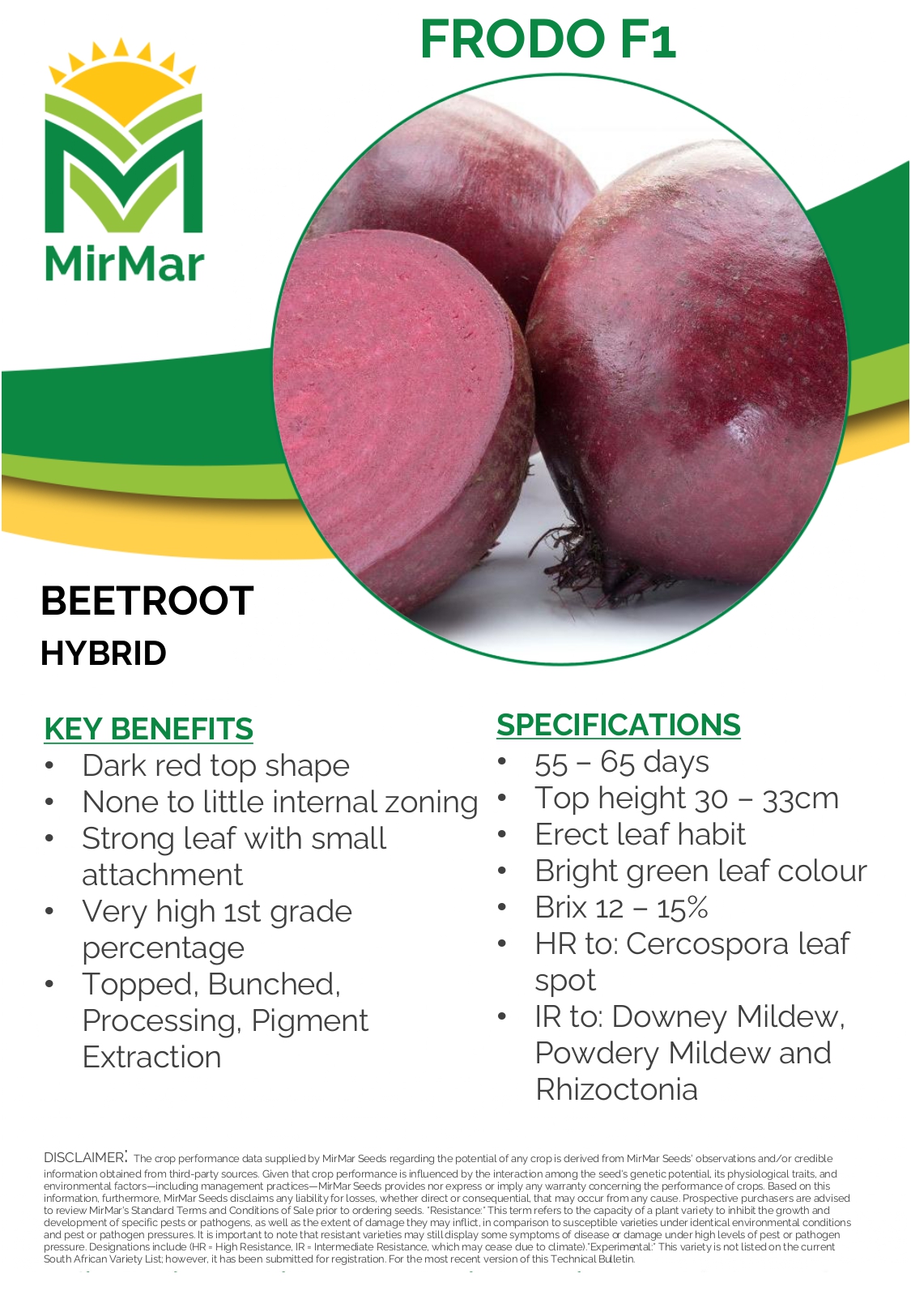 Beetroot - Frodo_page-0001
