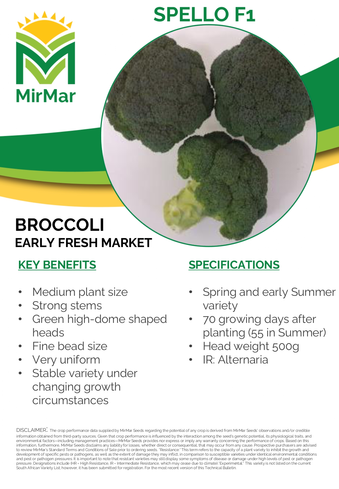 Broccoli - Spello_page-0001