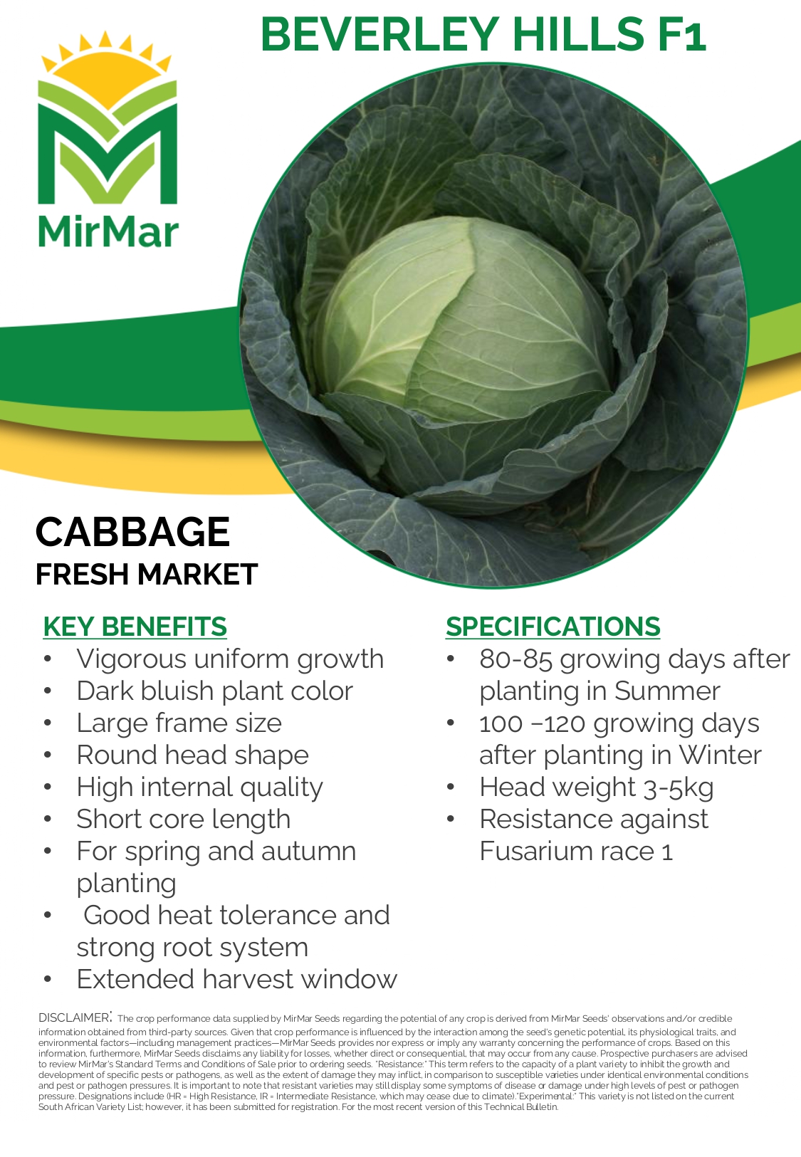 Cabbage - Beverley Hills_page-0001