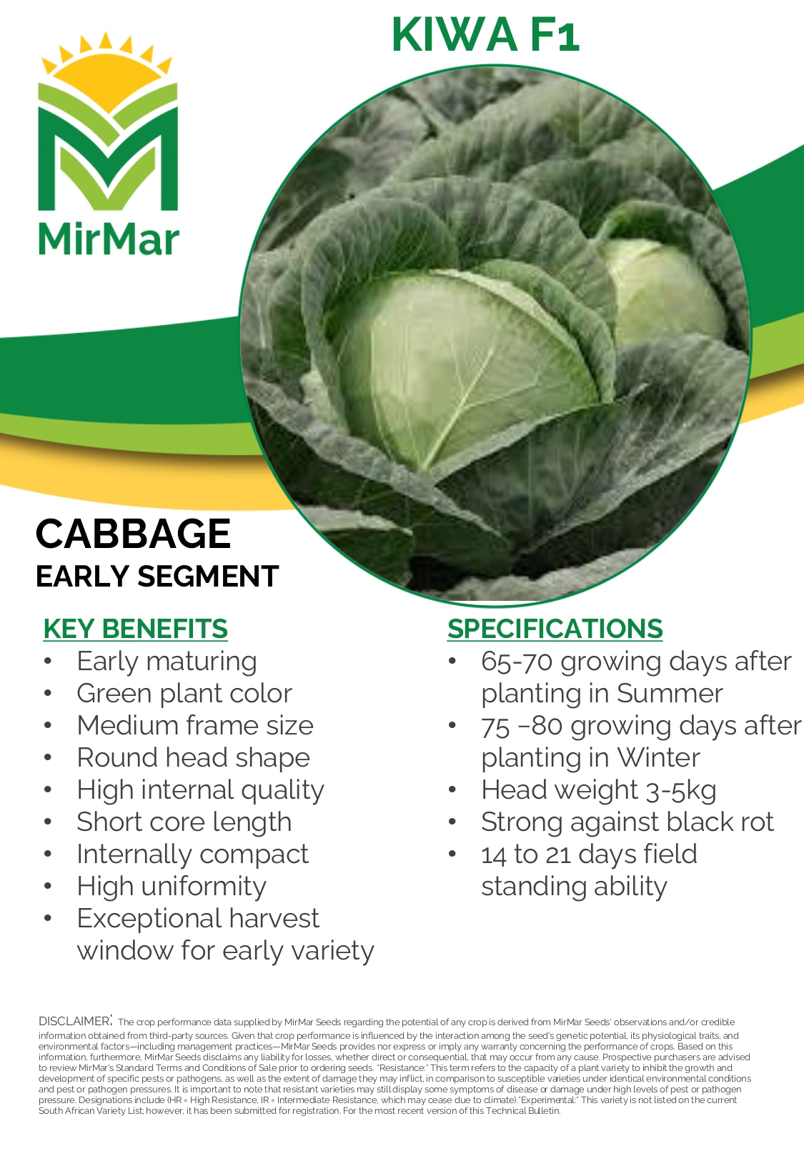 Cabbage - Kiwa_page-0001