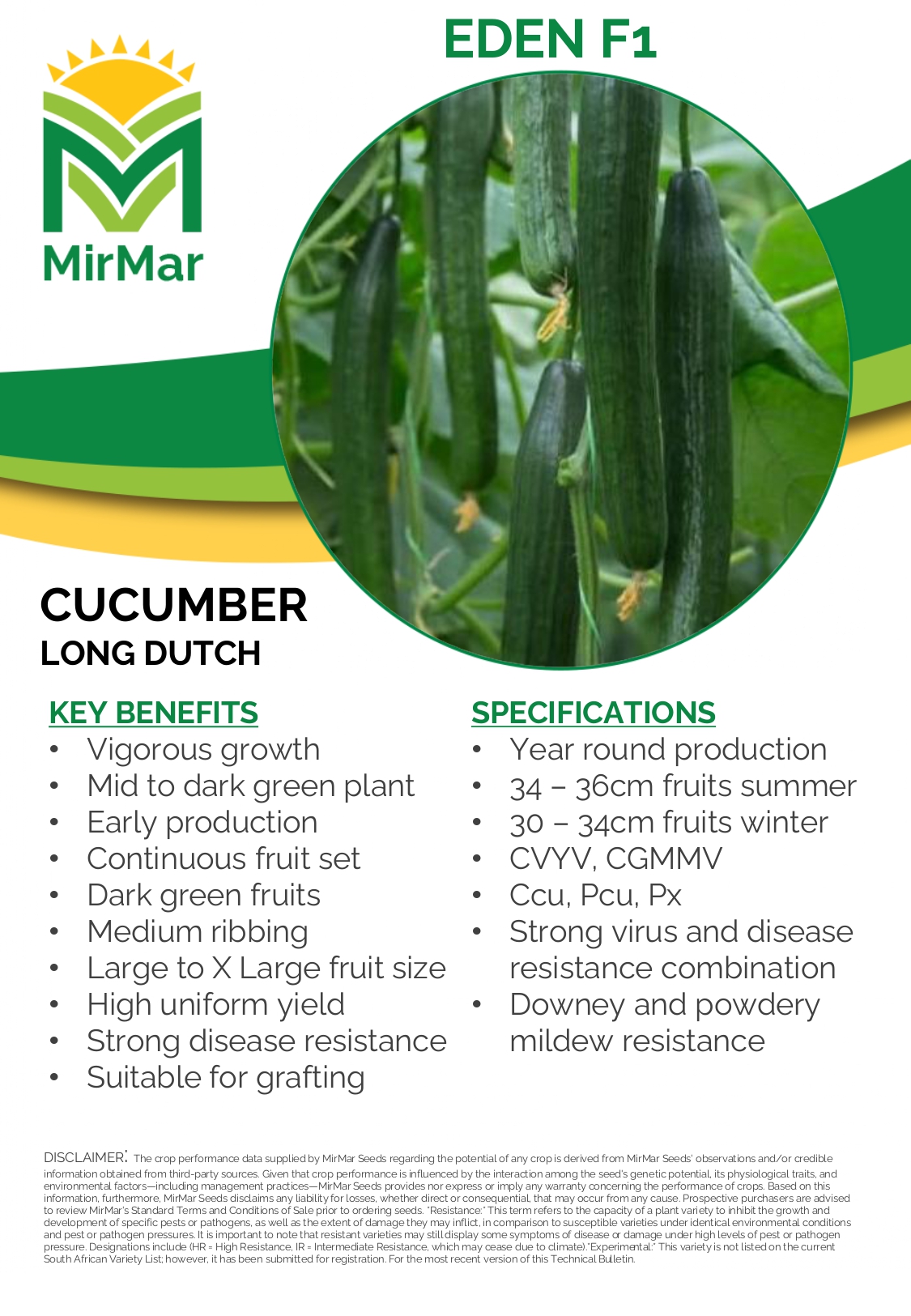 Cucumber - Long Dutch - Eden_page-0001