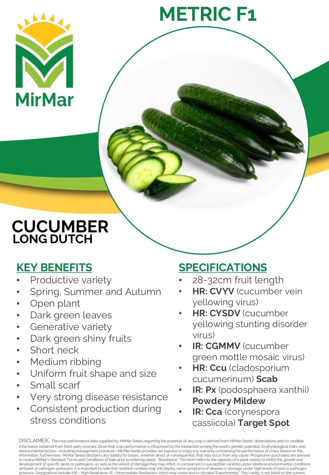 Cucumber - Long Dutch - Metric_page-0001