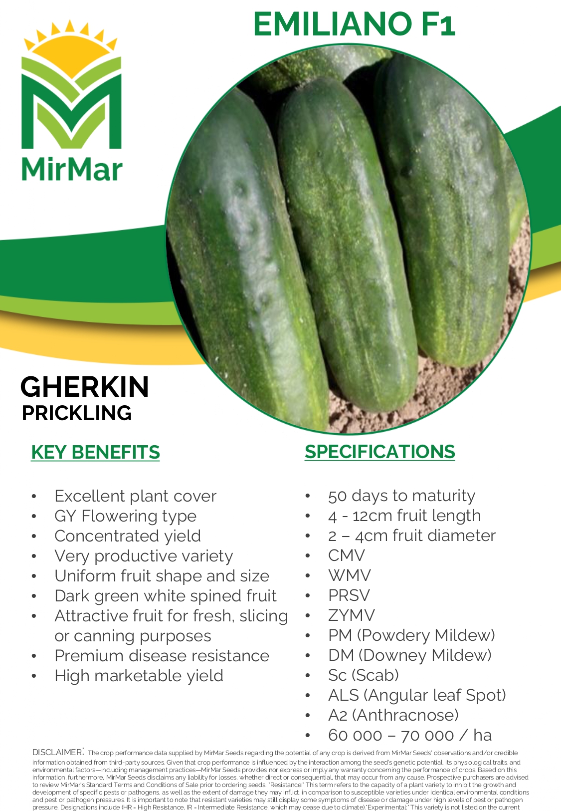 Gherkin - Emiliano_page-0001
