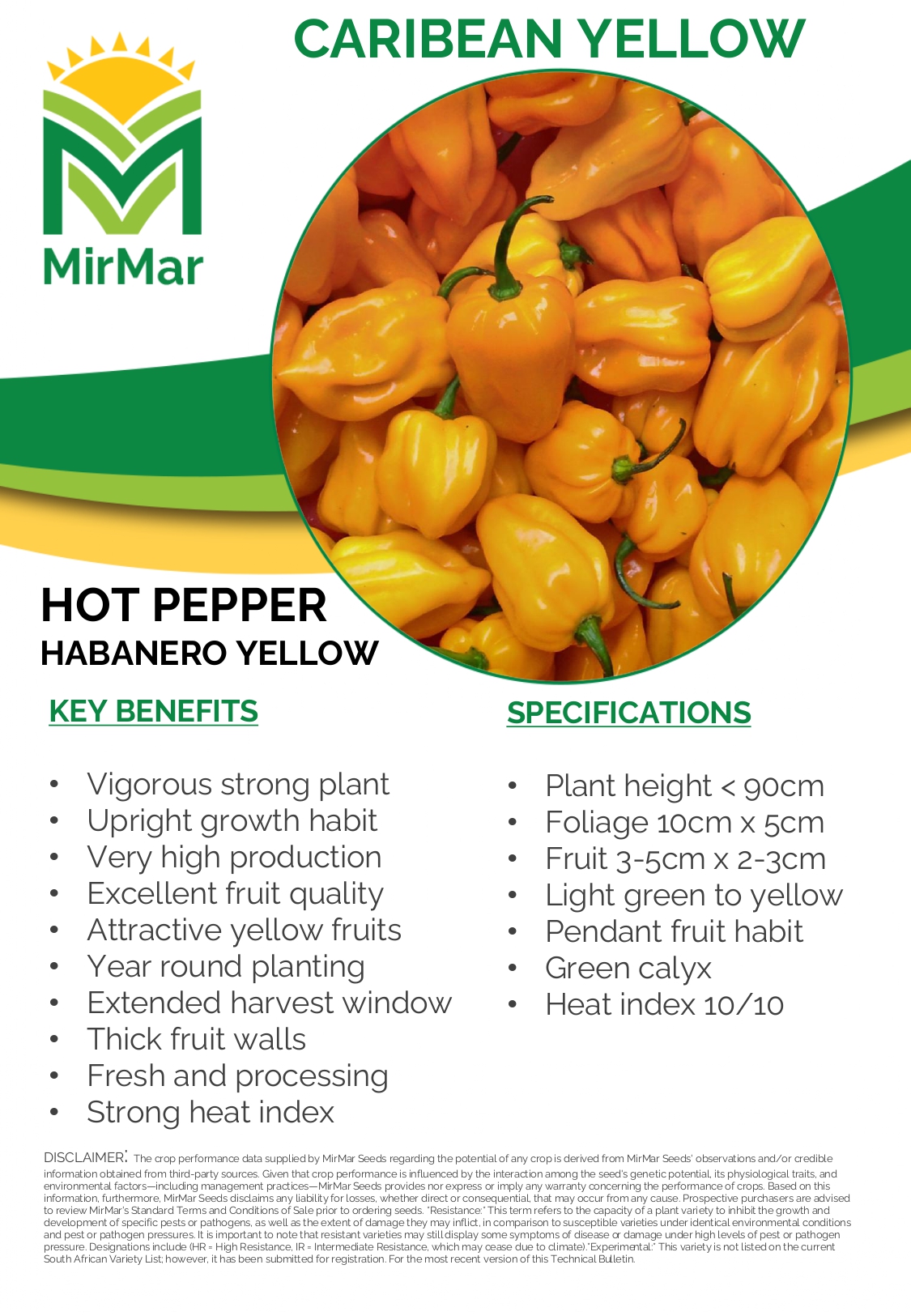 Hot Pepper - Habanero - Caribean Yellow_page-0001