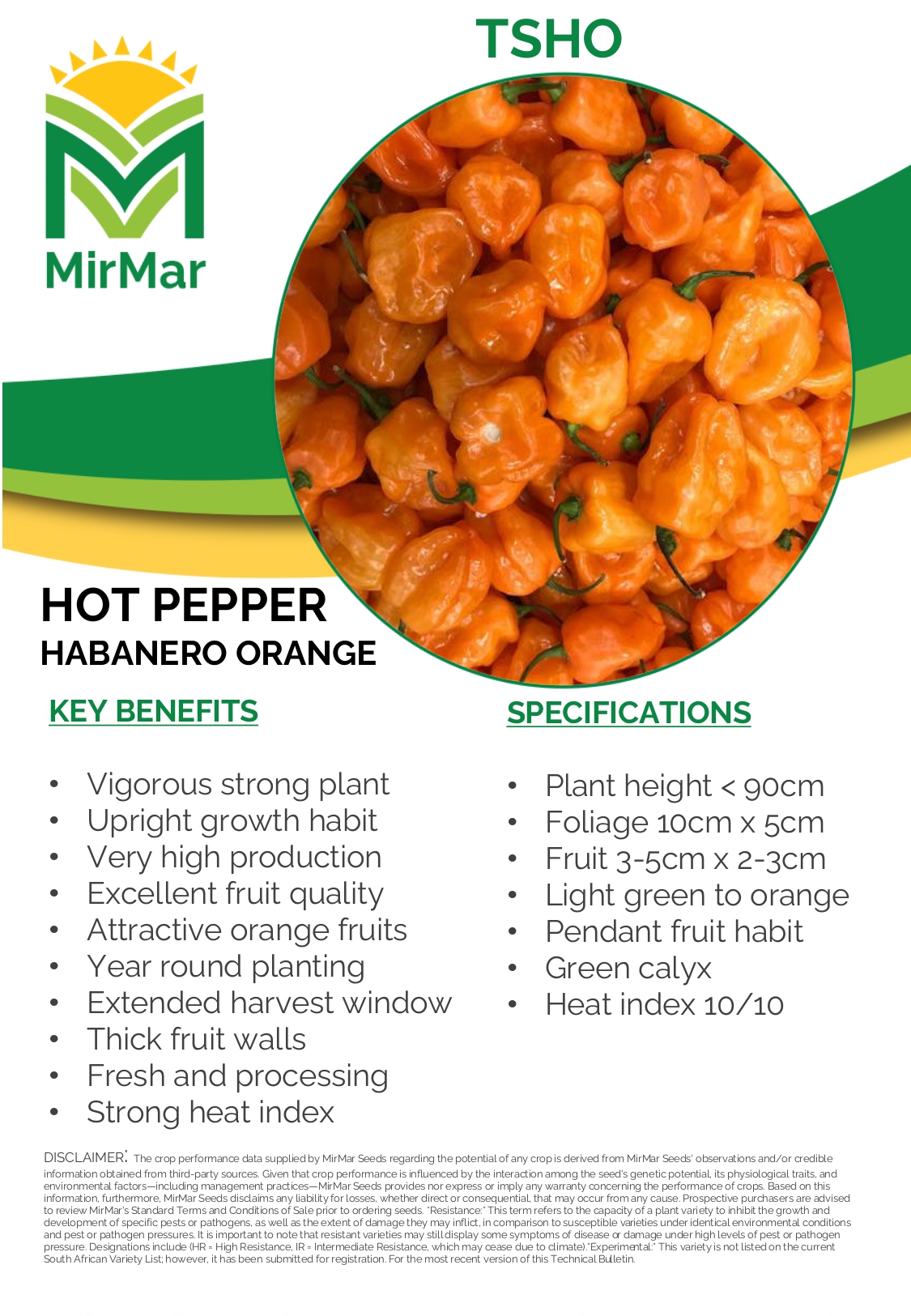 Hot Pepper - Habanero - TSHO - Orange_page-0001