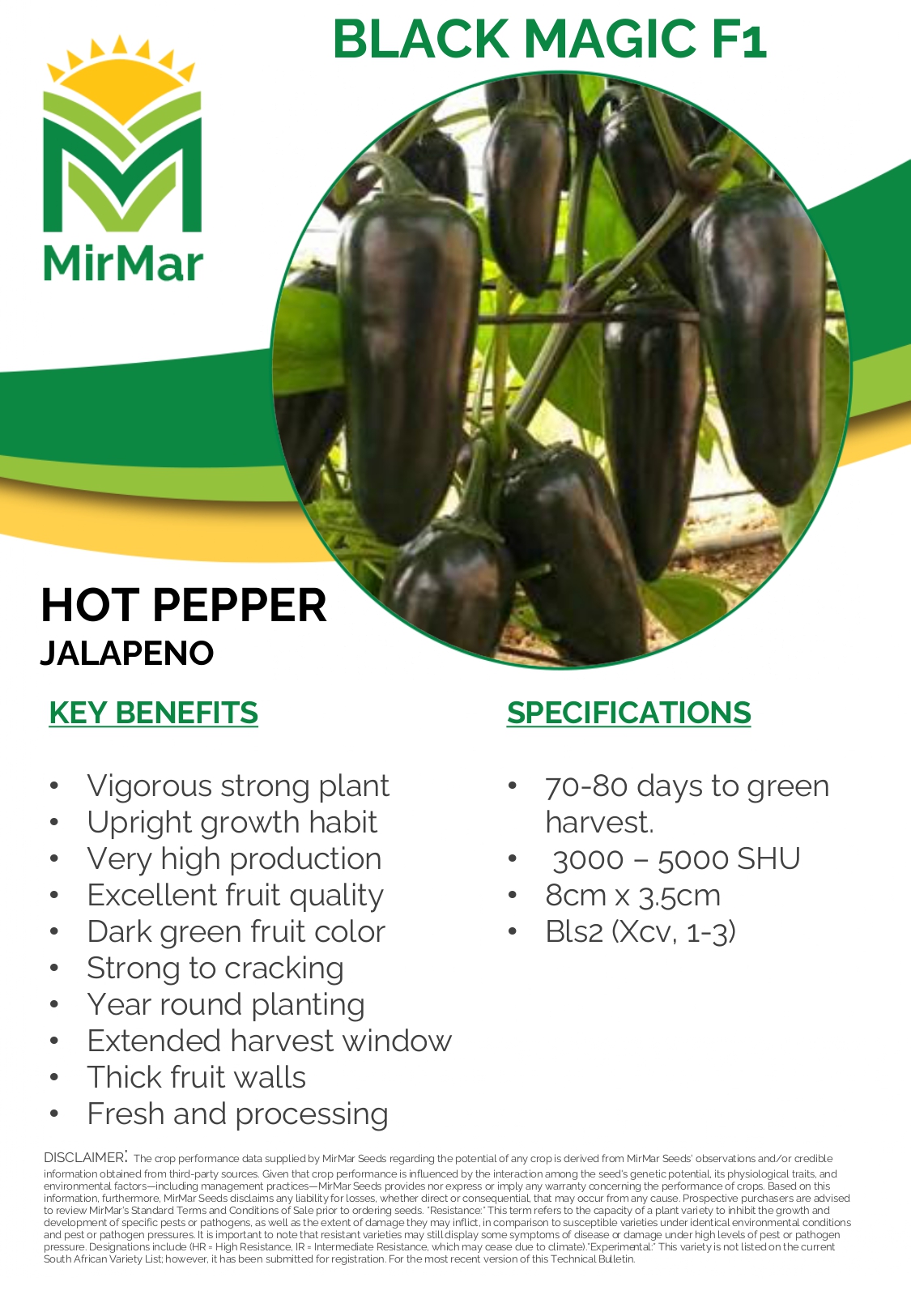 Hot Pepper - Jalapeno - Black Magic_page-0001