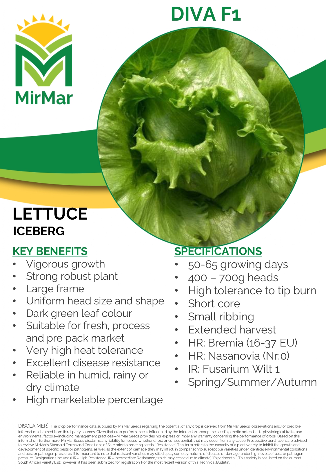 Lettuce - Iceberg - Diva_page-0001