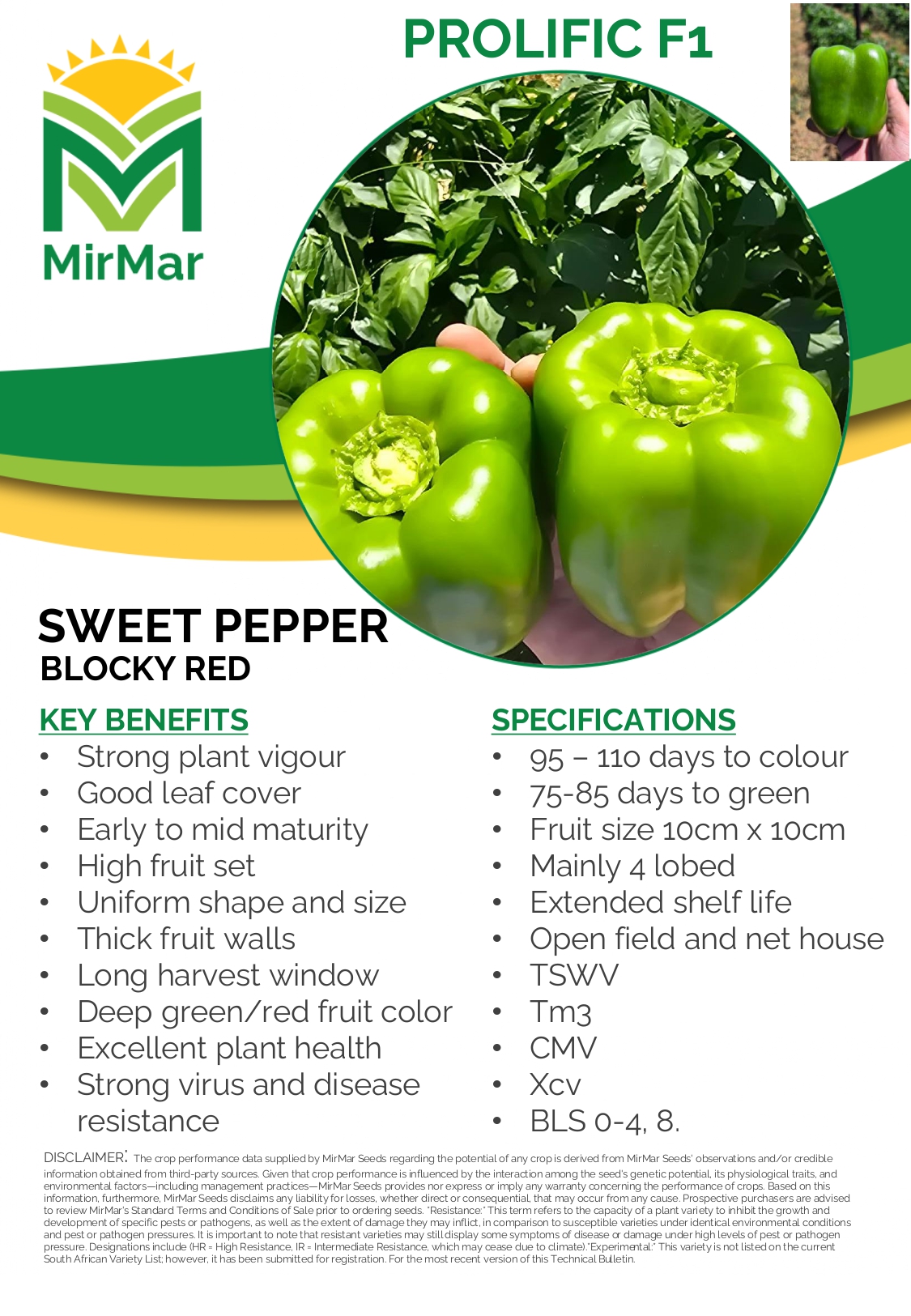 Pepper Sweet Blocky - PROLIFIC (407) - Green to Red_page-0001