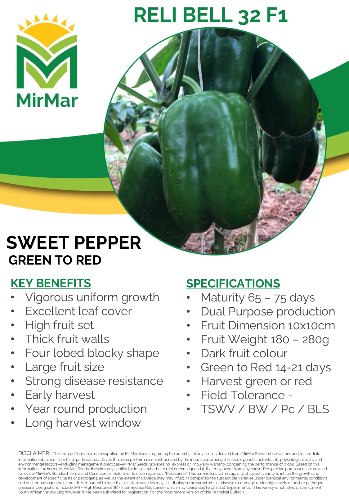 Pepper Sweet Blocky - Redibell 32 - Green to Red_page-0001