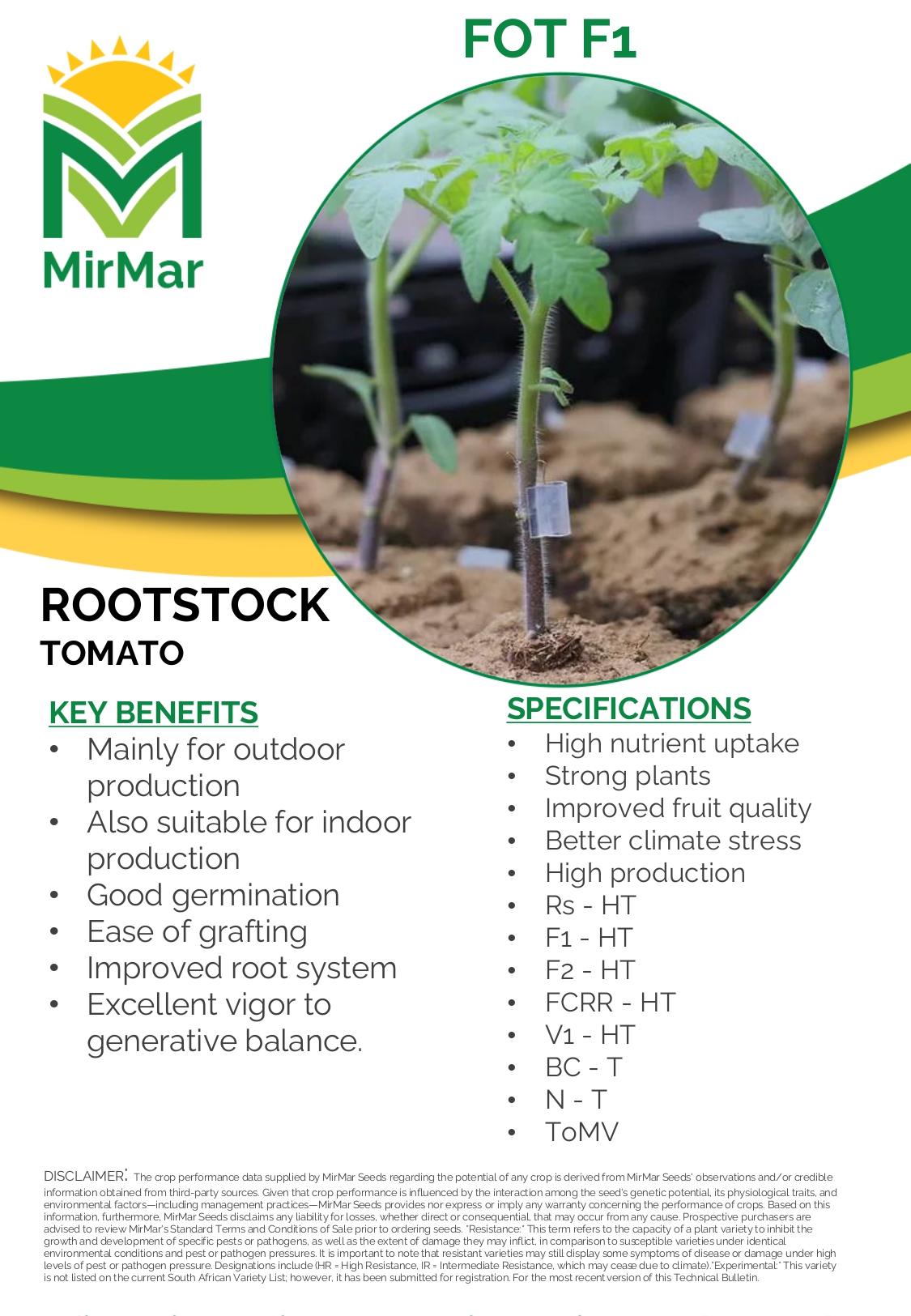 Rootstock - Tomato - FOT_page-0001