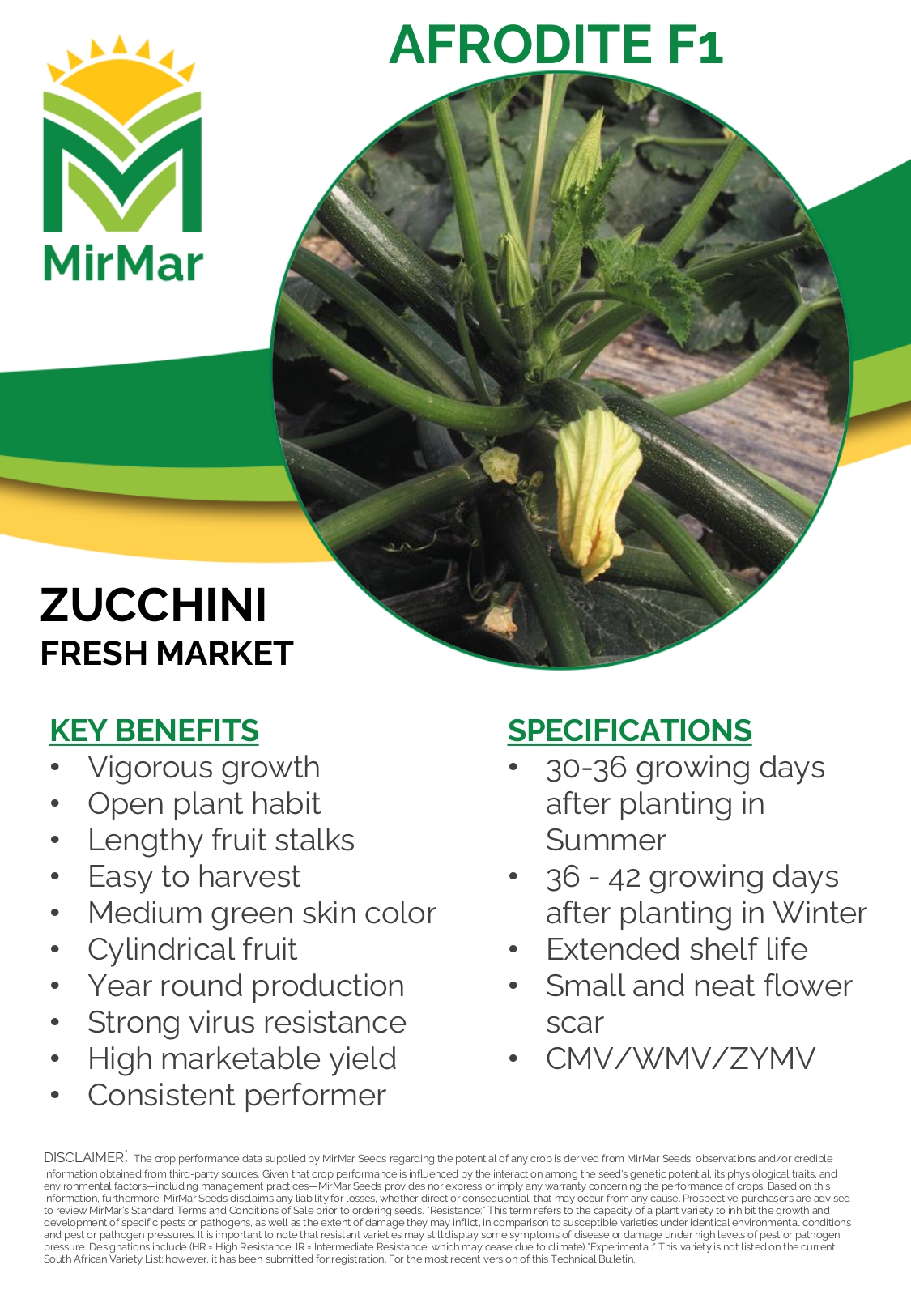 Squash -Zucchini - Afrodite_page-0001