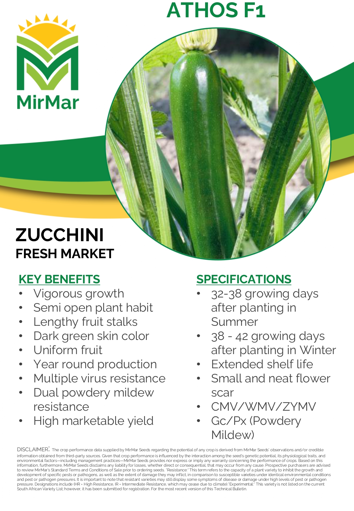 Squash -Zucchini - Athos_page-0001