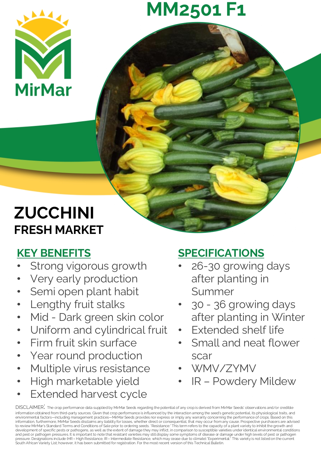 Squash -Zucchini - MM2501_page-0001