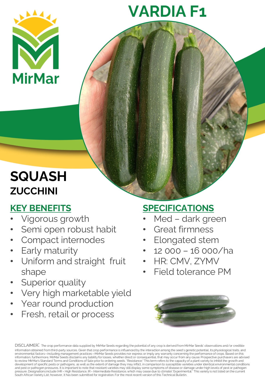 Squash - Zucchini - Vardia_page-0001