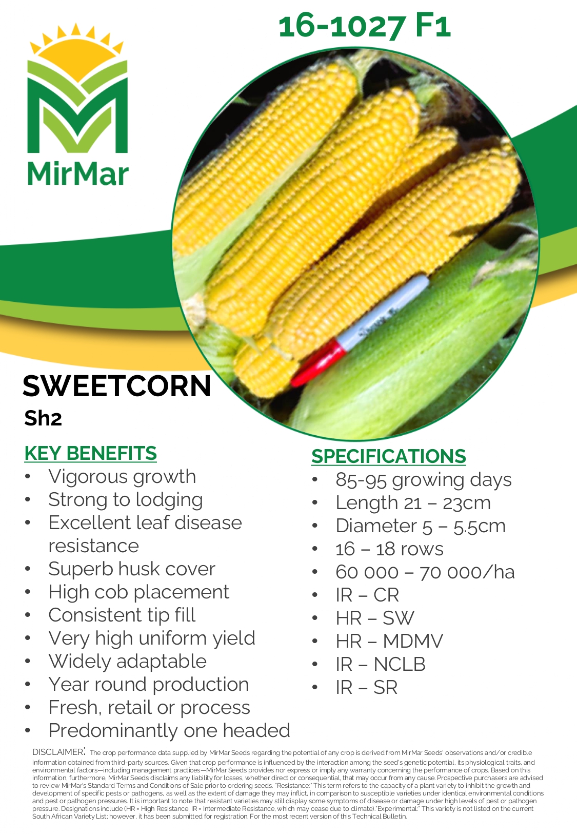 Sweetcorn 16-1027_page-0001