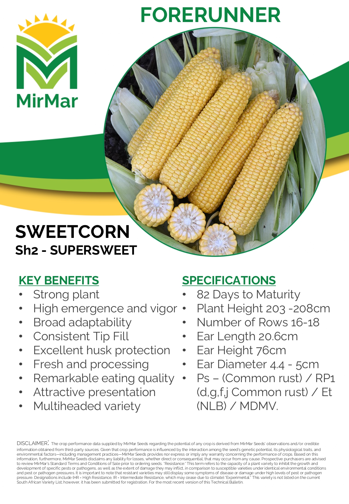 Sweetcorn - Forerunner_page-0001