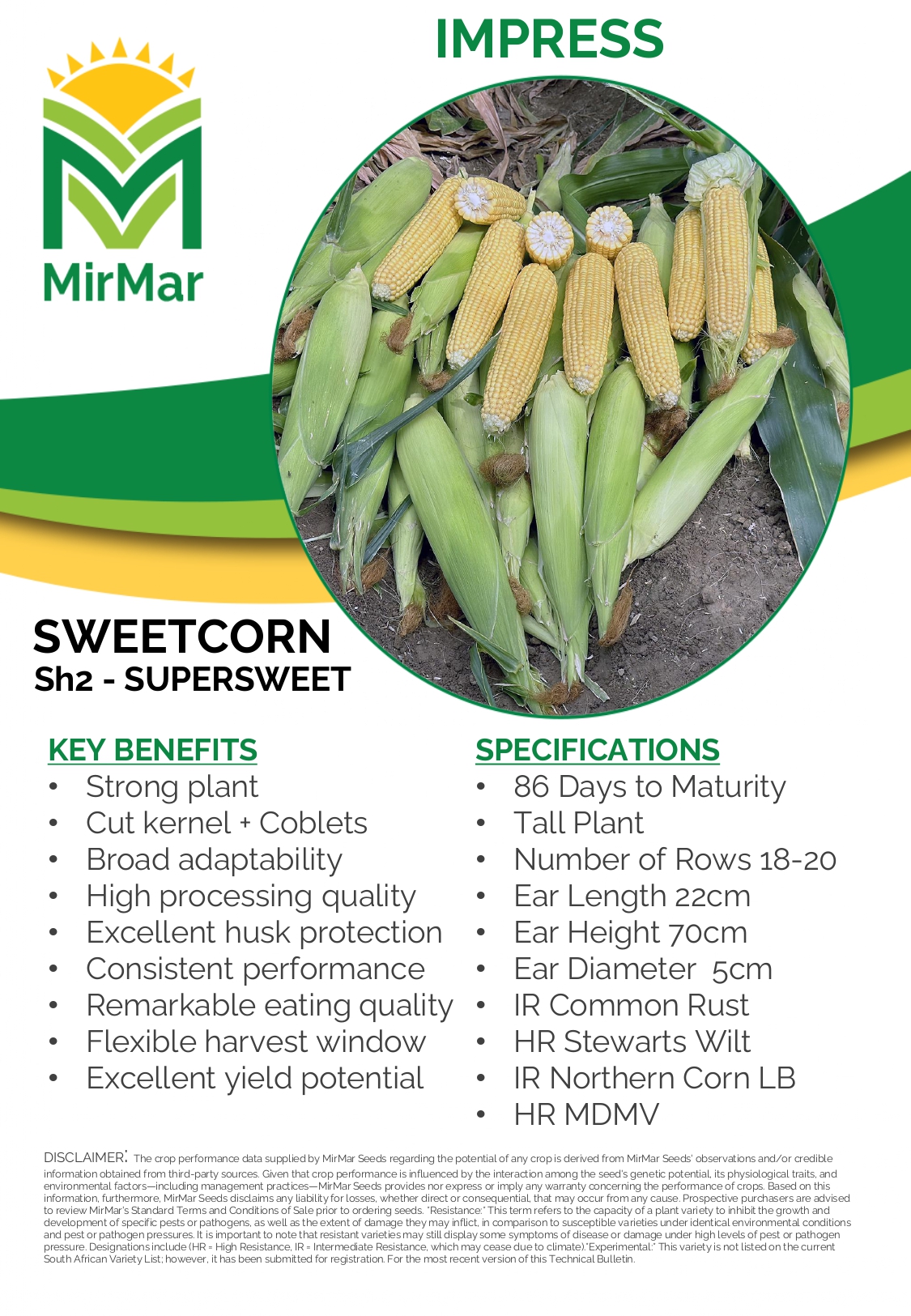 Sweetcorn - Impress_page-0001