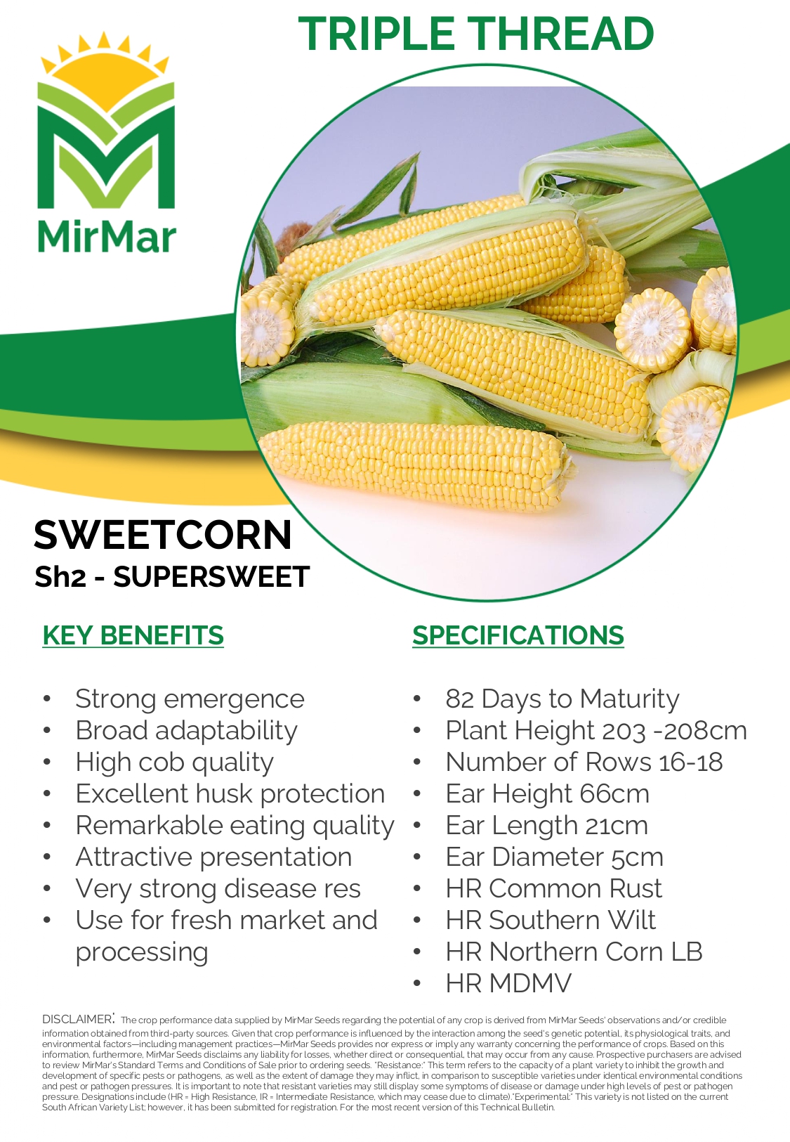 Sweetcorn - Triple Thread_page-0001