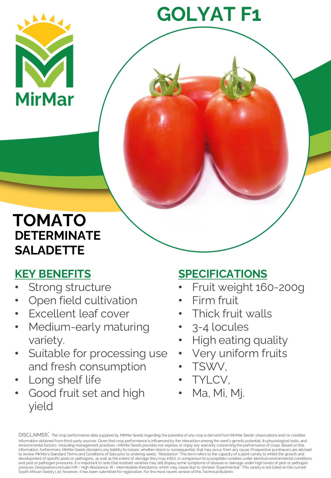 Tomato - Determinate Saladette - Golyat F1 (T-877)_page-0001