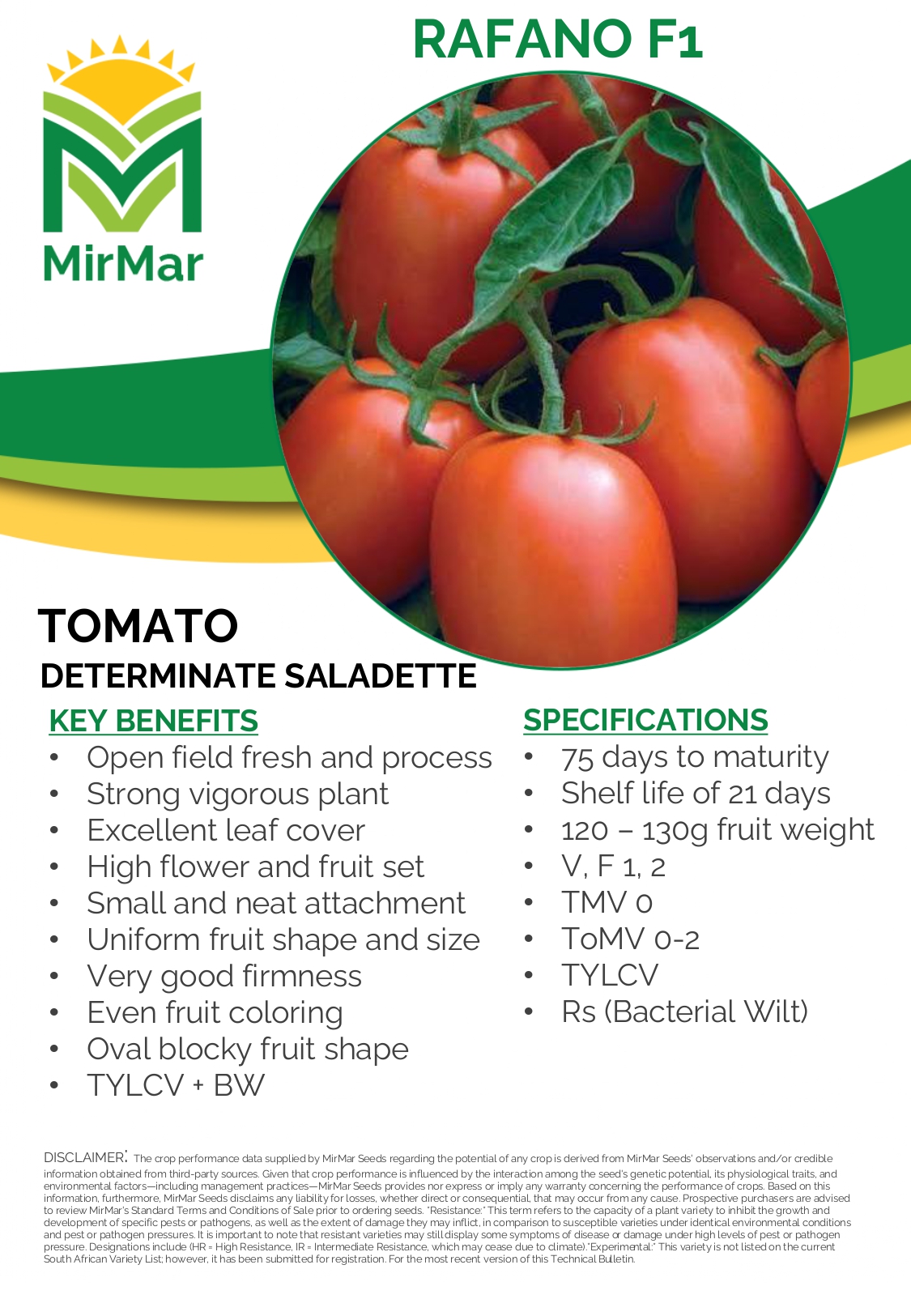 Tomato - Determinate Saladette - Rafano_page-0001