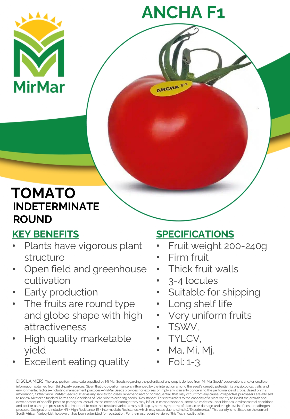 Tomato Indeterminate Round - Ancha F1_page-0001