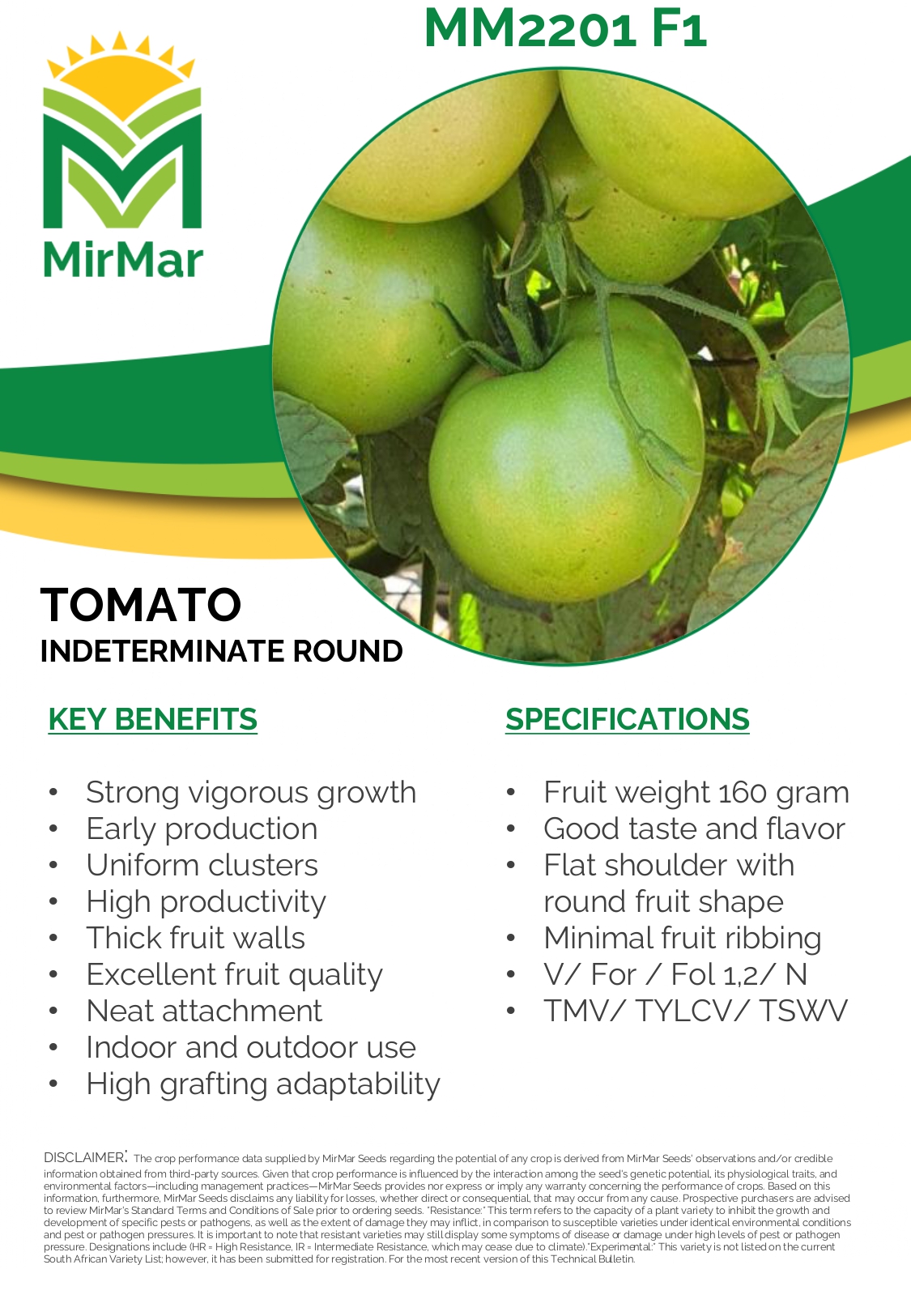 Tomato -Indeterminate Round - MM2201_page-0001
