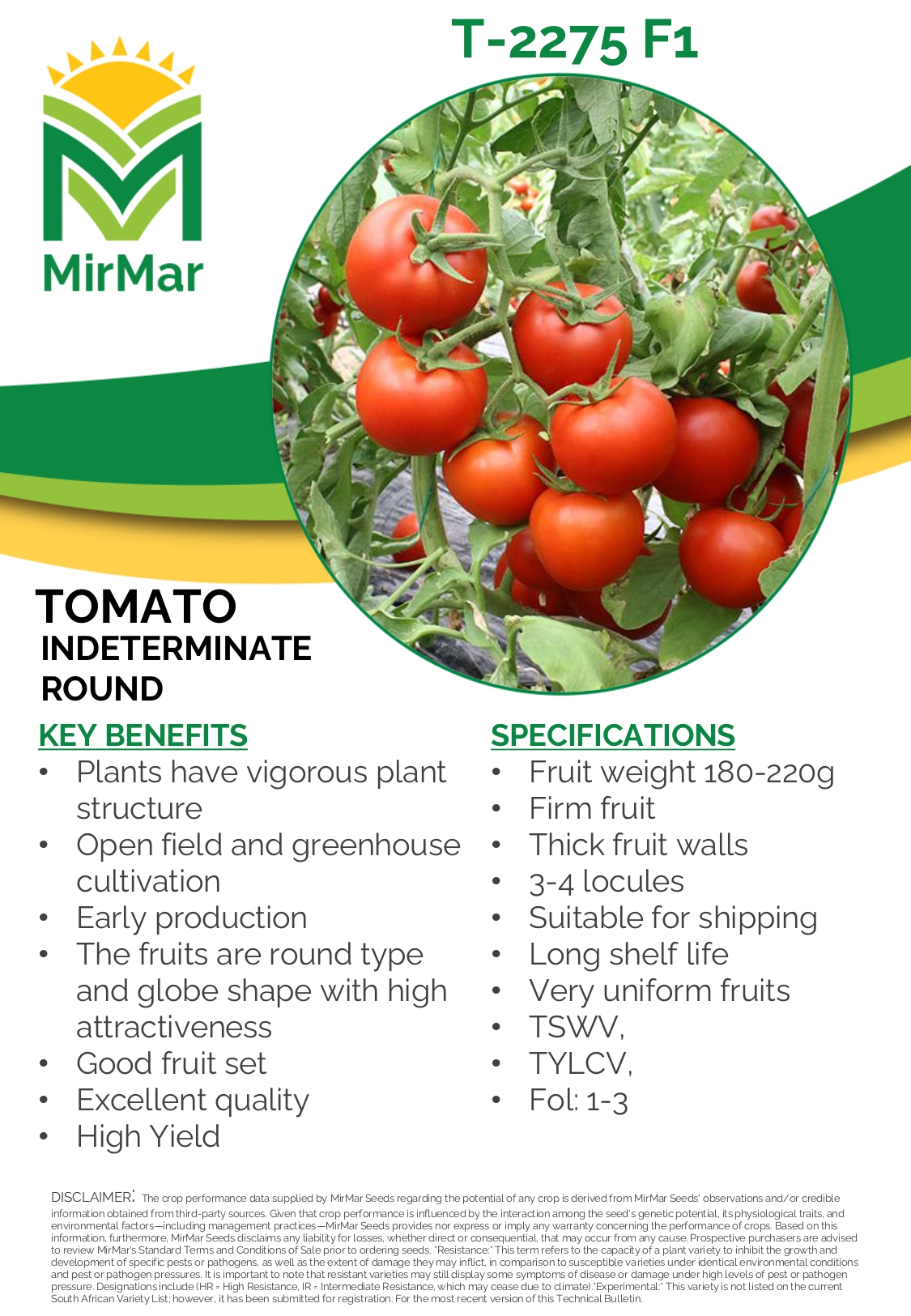 Tomato Indeterminate Round T-2275_page-0001