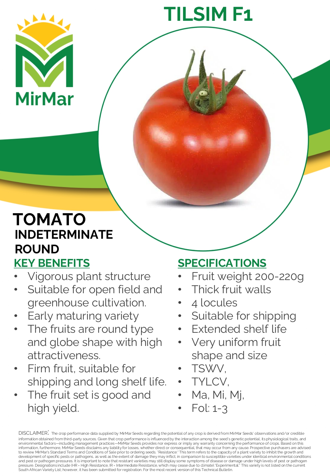 Tomato Indeterminate Round - Tilsim_page-0001