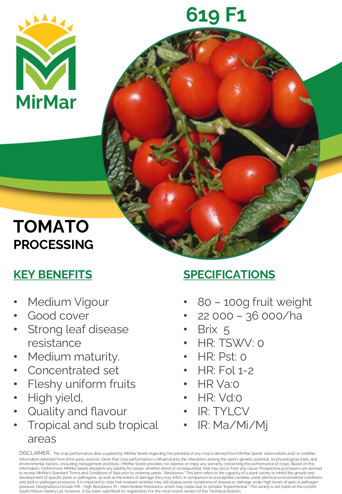 Tomato - Processing - 619_page-0001