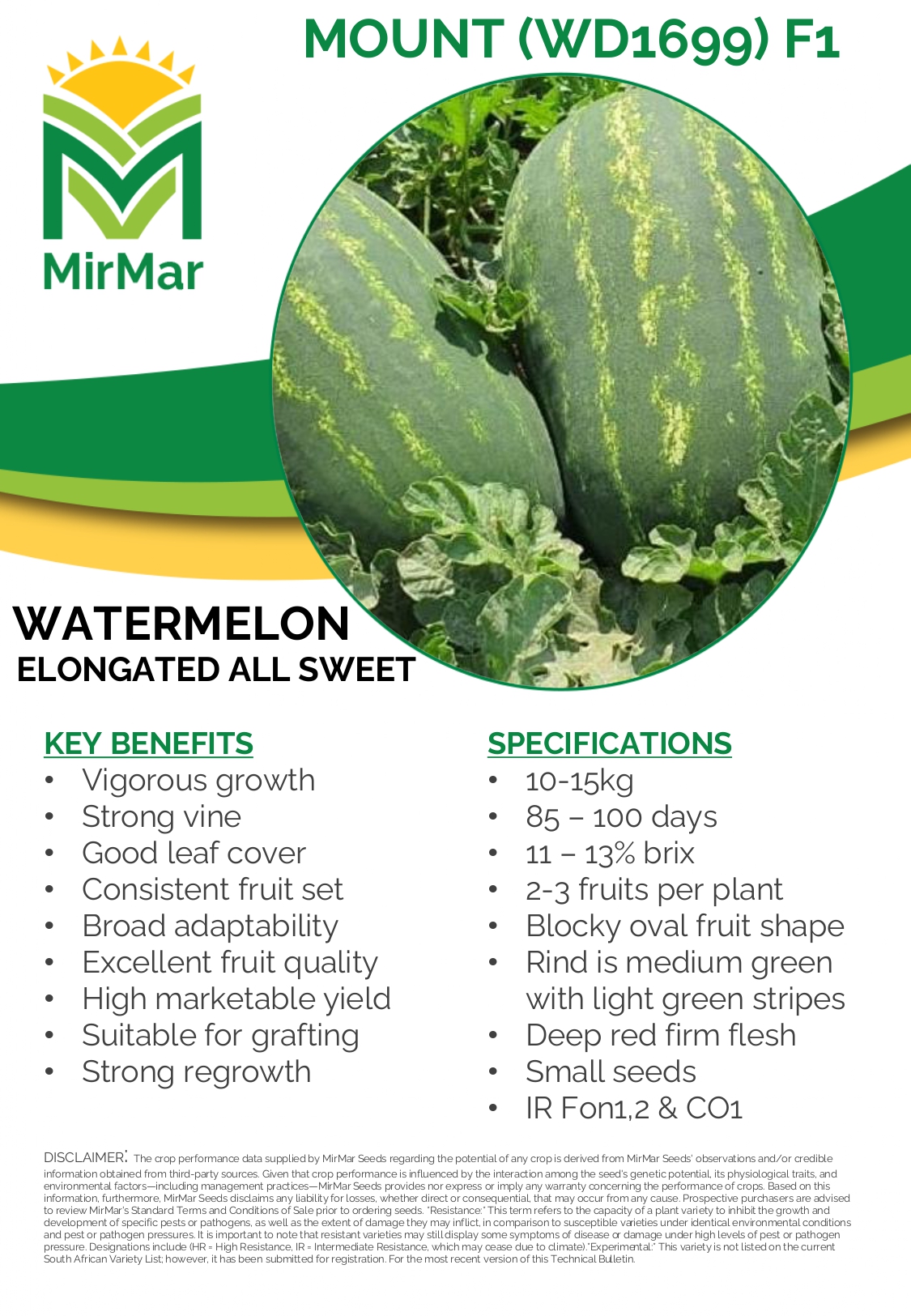 Watermelon Seeded - MOUNT (WD1699)_page-0001